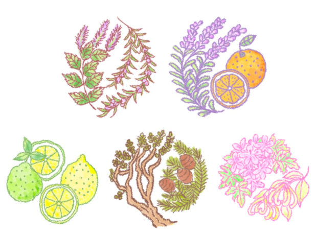 香りはすべて、 天然のエッセンシャルオイル～tecoloブレンドソープ